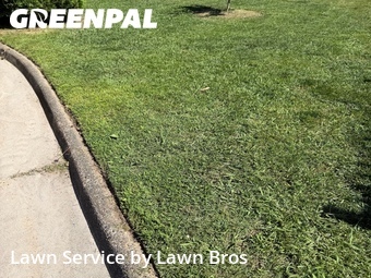 Yard Cutting nearby Virginia Beach, VA, 