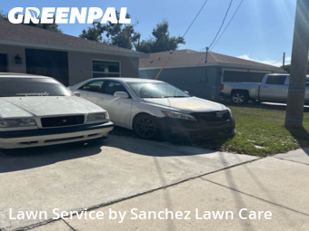 Grass Cut nearby Palmetto, FL, 