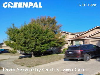 Yard Cutting nearby San Antonio, TX, 