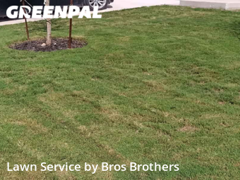 Lawn Mowing nearby Cibolo, TX, 