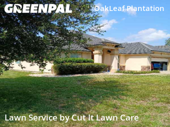 Lawn Carein Orange Park,32065,Grass Cut by Cut It Lawn Care, work completed in Dec , 2025