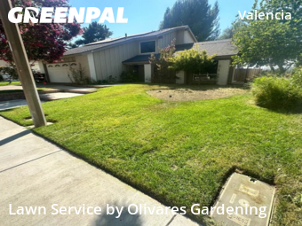 lawn-maintenance-in-Hawthorne-CA