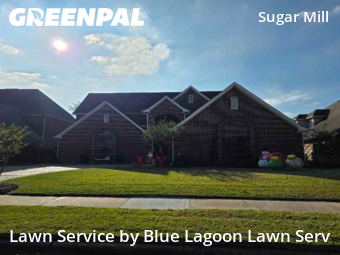 Lawn Mowing Servicein Sugar Land,77498,Yard Cutting by Blue Lagoon Lawn Serv, work completed in Dec , 2025