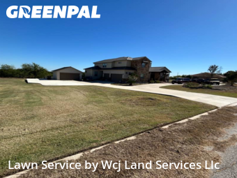 Lawn Servicein Cibolo,78108,Lawn Mow by Wcj Land Services Llc, work completed in Nov , 2025