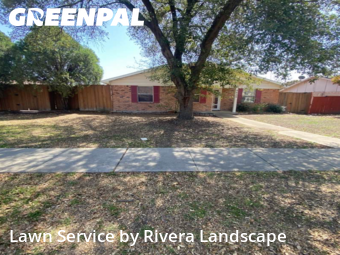 Yard Cutting nearby The Colony, TX, 