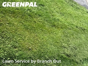 Lawn Care Service nearby Hamburg, NY, 