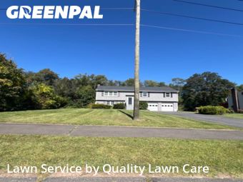Lawn Upkeep in Windsor, 6095, Grass Services by Quality Lawn Care, work completed in Nov , 2025