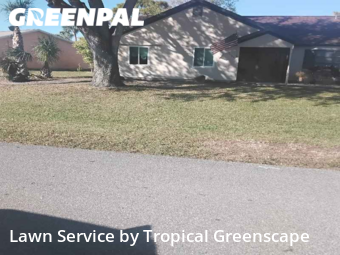 Yard Mowing nearby Port Charlotte, FL, 