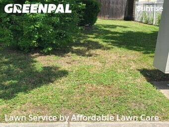 Lawn Cut nearby San Antonio, TX, 