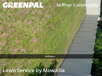 Grass Cut nearby Brandon, FL, 