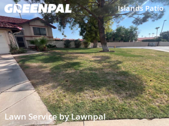 Grass Cut nearby Gilbert, AZ, 