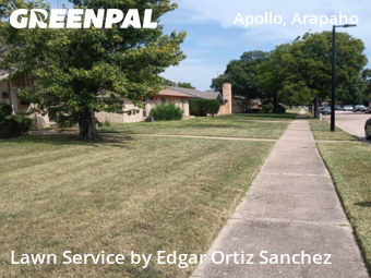 Lawn Mowing Servicein Garland,75044,Lawn Care Service by Edgar Ortiz Sanchez, work completed in Nov , 2025