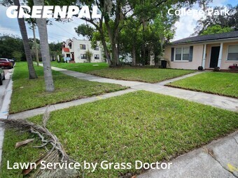 Affordable Landscaping Maintenance Services In Orlando,32804,Landscaping Cleanup by Grass Doctor, work completed in Jul , 2026