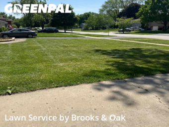 Yard Mowing nearby Wheaton, IL, 