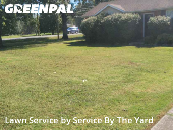 Yard Cutting nearby Murfreesboro, TN, 