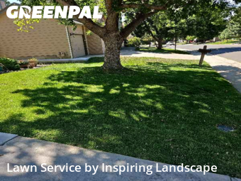 Lawn Carein Centennial,80015,Lawn Mow by Inspiring Landscape, work completed in Nov , 2025