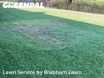 Lawn Service nearby Geismar, LA, 