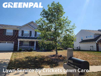 Lawn Mowing nearby New Palestine, IN, 