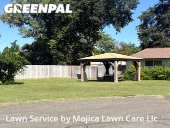 Work completed by cheap-lawn-cutting-businesses-in in Carmichael, CA