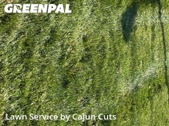 Lawn Cut nearby Murfreesboro, TN, 