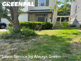 Lawn Cut nearby Centreville, MD, 