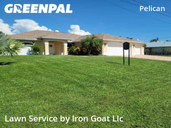 Grass Cut nearby Cape Coral, FL, 