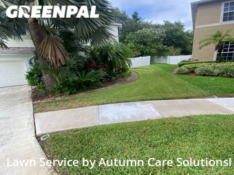 Lawn Cutting nearby Brandon, FL, 