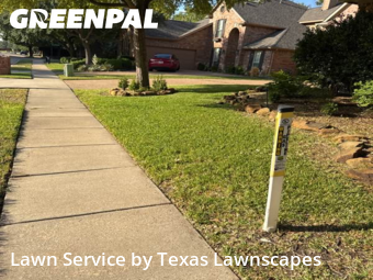 Yard Grooming in Allen, 75013, Yard Services by Texas Lawnscapes, work completed in Nov , 2025