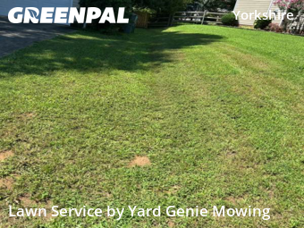 Grass Cutting nearby Charlotte, NC, 