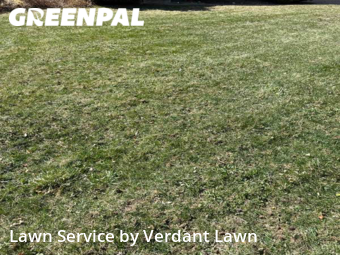 Lawn Mowing Service nearby Loveland, CO, 