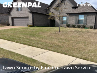 Lawn Mow nearby Shelby County, TN, 