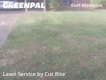 Yard Mowing nearby Memphis, AR, 