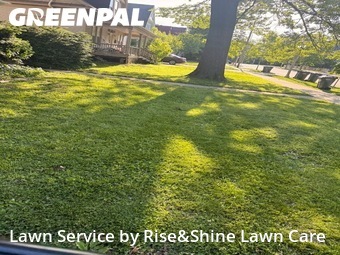 Lawn Cut nearby Urbana, IL, 