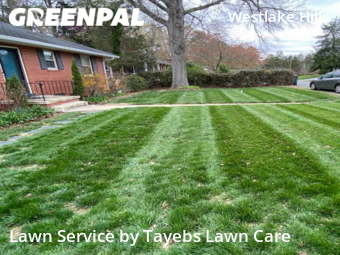 Lawn Mow nearby Richmond, VA, 