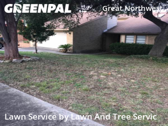 Lawn Cut nearby San Antonio, TX, 