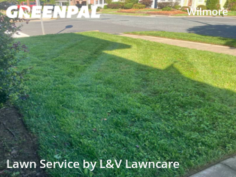 Grass Cut nearby Charlotte, NC, 