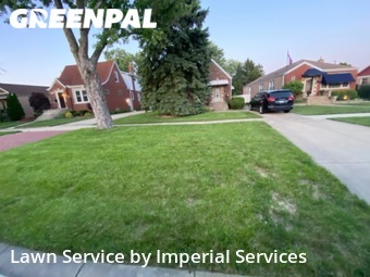 Grass Cut nearby Evergreen Park, IL, 