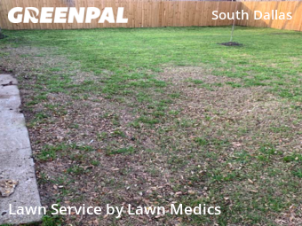 Lawn Mowing nearby Dallas, TX, 