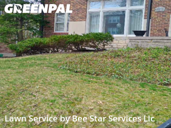 Lawn Cutin Clayton,63105,Grass Cut by Bee Star Services Llc, work completed in Nov , 2025