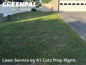 Lawn mowed in Dover, 19904