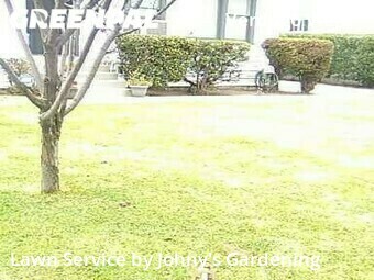 Lawn Cut nearby Glendale, CA, 