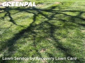 Lawn Care nearby O'fallon, MO, 