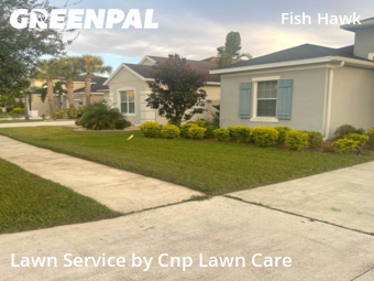 Grass Care in Fish Hawk, 33547, Lawn Cutting by Cnp Lawn Care, work completed in Nov , 2025