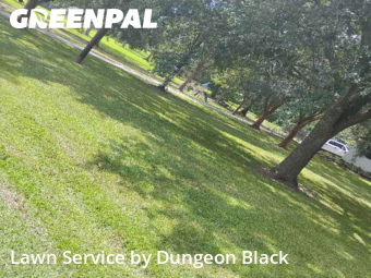 Lawn Maintenance nearby Prairieville, LA, 
