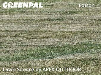 Grass Cutting nearby Kalamazoo, MI, 