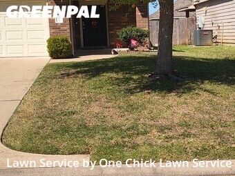 Lawn Care nearby Katy, TX, 