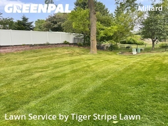 Yard Cutting nearby Omaha, NE, 