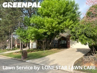 Grass Cut nearby Montgomery, TX, 