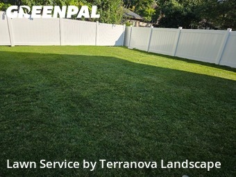 Yard Management in Carol Stream, 60188, Landscaping Maintenance by Terranova Landscape, work completed in Nov , 2025