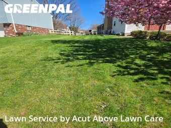 Lawn Mow nearby Pittsburgh, PA, 